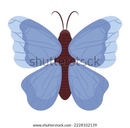 colored butterfly design over white