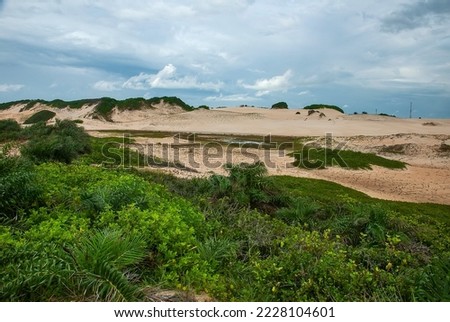 Itaunas dunes  photographed in Itaunas, EspIrito Santo - Southeast of Brazil. Atlantic Forest Biome. Picture made in 2009."