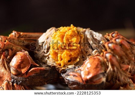 Fresh and delicious hairy crab or chinese mitten crab with crab roe background