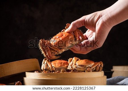 hand hold a delicious hairy crab or chinese mitten crab close up. Royalty-Free Stock Photo #2228125367