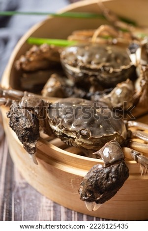 live hairy crab or mitten crab in steamer on table.