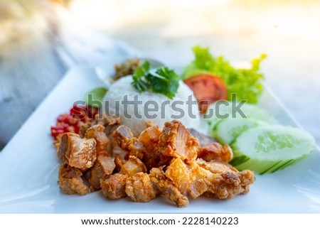 crispy pork with rices, lunch time with crispy pork menu, streaky pork fried on white dish,. Royalty-Free Stock Photo #2228140223