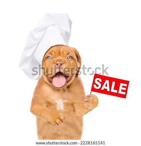 Funny Mastiff puppy wearing chef's hat shows signboard with labeled "sale". isolated on white background