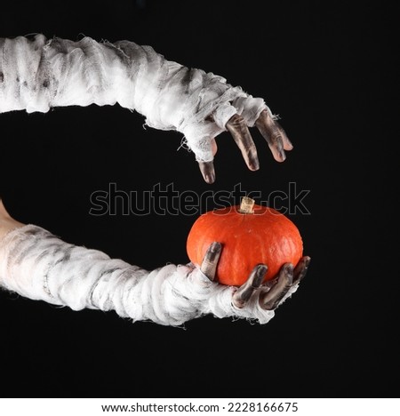 Mummy hands wrapped in bandage holds decorative pumpkin isolated on black background. Halloween concept