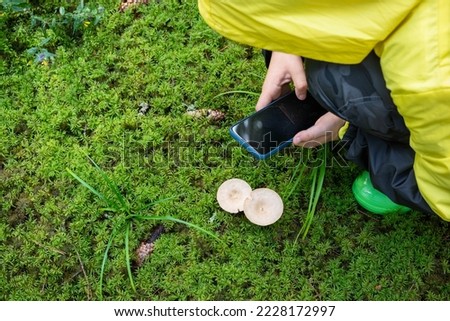 Mobile photography - taking picture using smart phone. Little boy exploring mushrooms in forest. Family leisure with kids in the nature.