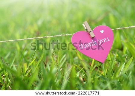 Close-up thank you card in the grass outdoors  Royalty-Free Stock Photo #222817771