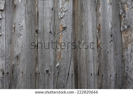 Background of natural wooden canvas.