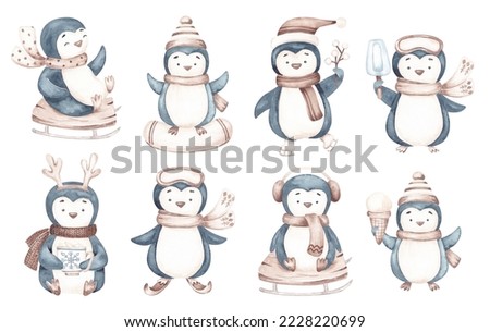 Penguins clip art isolated on white background. Hand drawn by watercolor. Cute kids design in cartoon style. Winter set with penguins