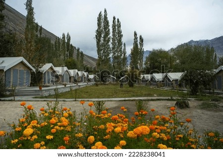 Camp site in the Nubra Valley at Hunder, Ladakh, India Royalty-Free Stock Photo #2228238041