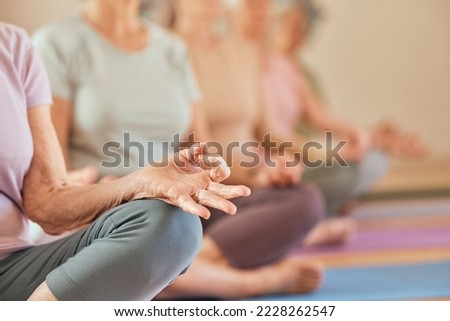 Yoga class, senior woman and meditation with lotus hands of fitness group together for exercise, chakra workout and wellness training in studio. Old people doing zen or spiritual practice for health