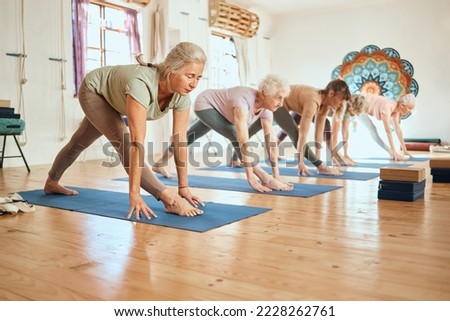 Senior yoga, pilates and fitness gym class of elderly women friends training for health and wellness. Workout in a studio for mindfulness and zen sports exercise for the body and mind to meditate Royalty-Free Stock Photo #2228262761