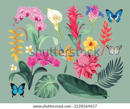 Big vector set of high detailed tropical flowers Royalty-Free Stock Photo #2228264657