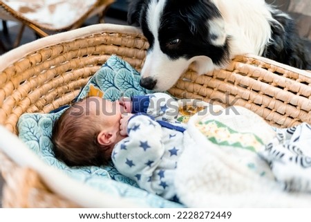 Curious dog sniffing newborn baby at home Royalty-Free Stock Photo #2228272449