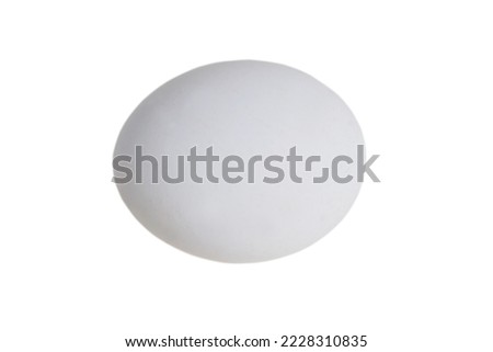 A white egg isolate lies sideways on a white background with copy space.