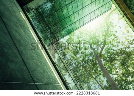 Sustainble green building. Eco-friendly building in modern city. Sustainable glass office building with tree for reducing carbon dioxide. Office with green environment. Corporate building reduce CO2. Royalty-Free Stock Photo #2228318681