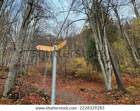 Mountaineering signposts and markings on the slopes of the alpine mountains above the Taminatal river valley and in the massif of the Swiss Alps, Vättis - Canton of St. Gallen, Switzerland (Schweiz)