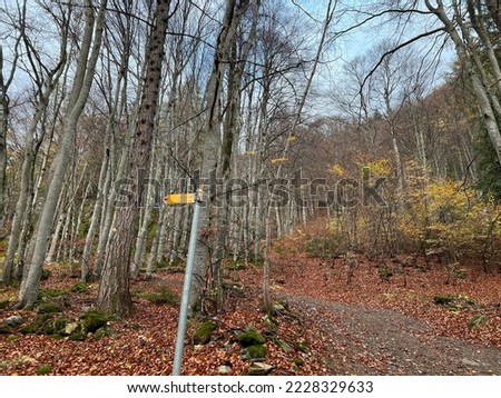 Hiking trails or mountaineering routes on the slopes of the alpine mountains above the Taminatal river valley and in the massif of the Swiss Alps, Vättis - Canton of St. Gallen, Switzerland (Schweiz)