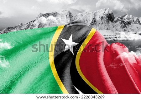 Saint Kitts and Nevis national flag cloth fabric waving on beautiful Background.