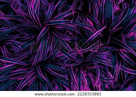 tropical leaves, purple abstract background, neon glow color toned