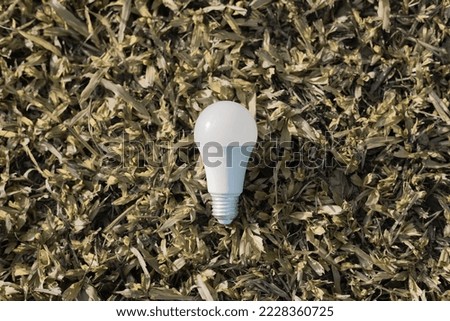 light bulb lying on dry grass