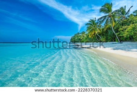 Maldives Islands Ocean Tropical Beach Royalty-Free Stock Photo #2228370321