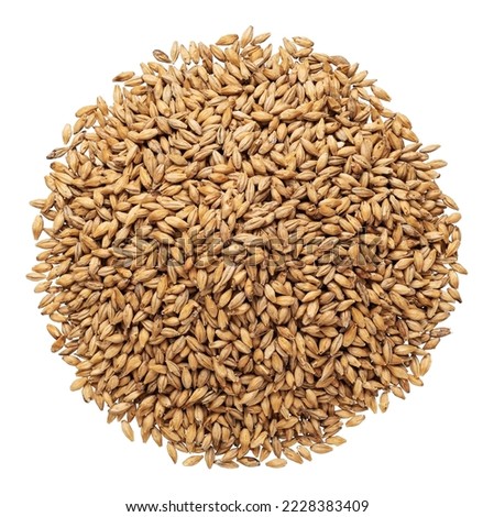 Pale ale malt for brewing Royalty-Free Stock Photo #2228383409