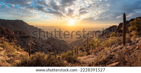 Panorama of The McDowell Sonoran Preserve overlooking Scottsdale, AZ during beautiful sunset