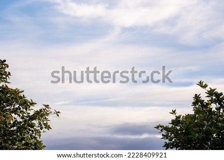 Blue autumn sky with some light fluffy clouds and some dramatic dark clouds with sunlight behind them and trees with dark colored leaves on each side