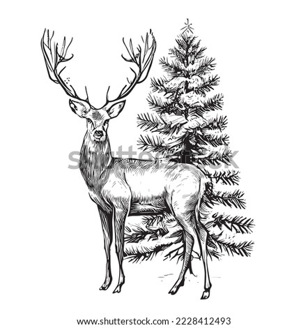 Deer stands on the background of the Christmas tree sketch hand drawn in engraving style Vector illustration.