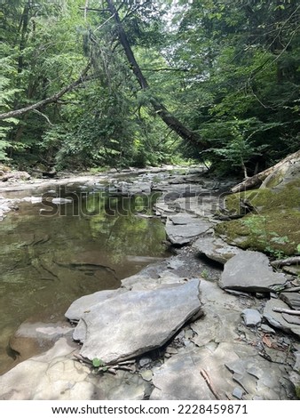 Pictures taken of a gorge in New York in July of 2022