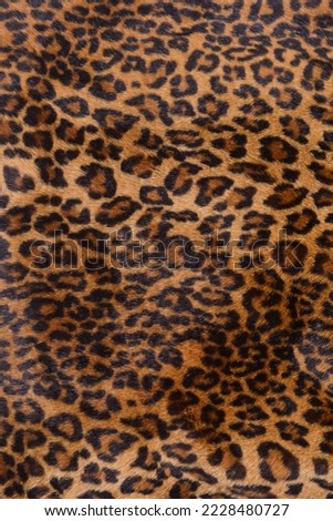 Leopard pattern design. Real fur Skin texture