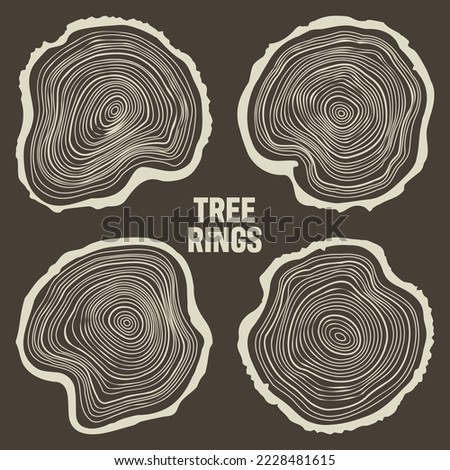 Round tree trunk cuts, sawn pine or oak slices, lumber. Saw cut timber, wood. Brown wooden texture with tree rings. Hand drawn sketch. Vector illustration Royalty-Free Stock Photo #2228481615