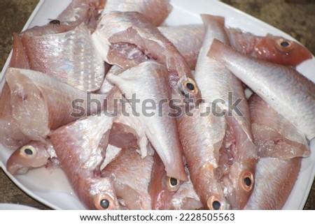 fresh caught sea fish cut into Pieces and being prepared for cooking south indian tamilnadu homemade gravy and fry