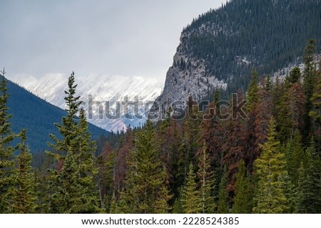 Beautiful panoramic view of the Canadian Rockies with mountains, forest and snow 