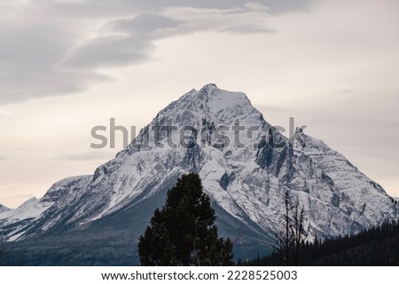 Beautiful view with a mountain on the background, Canadian Rockies, Canada