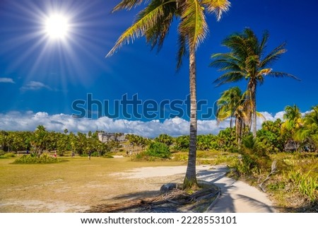 Cocos palms near mayan Ruins in Tulum, Riviera Maya, Yucatan, Caribbean Sea, Mexico.
