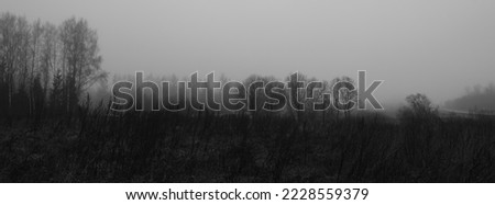 dark moody countryside panoramic scene in monochrome grey tones. depression and despair in nature