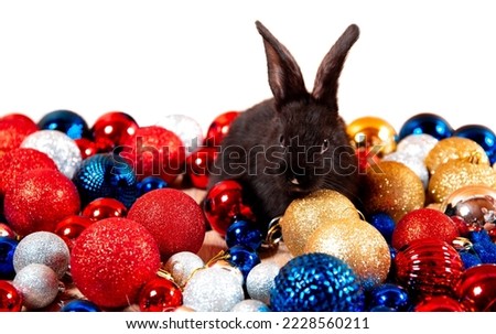 Black rabbit sits among red, blue and white Christmas balls isolated on white background. Hare is the symbol for 2023 according to the eastern calendar. New Year holiday gift. Colors of country flags.
