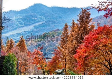 view of autumn in mountain. 