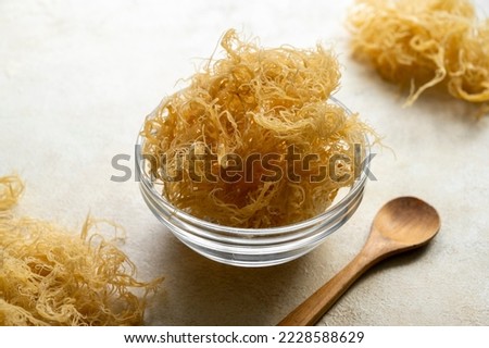 Golden dried Sea Moss, healthy food supplement rich in minerals and vitamins used for nutrition and health Royalty-Free Stock Photo #2228588629