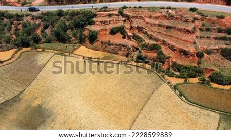 Aerial picture of the rice and paddy fields in Madagascar, Africa.