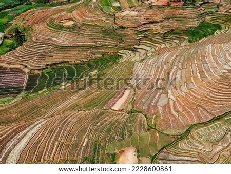 Aerial picture of the rice fields in Madagascar, Africa.