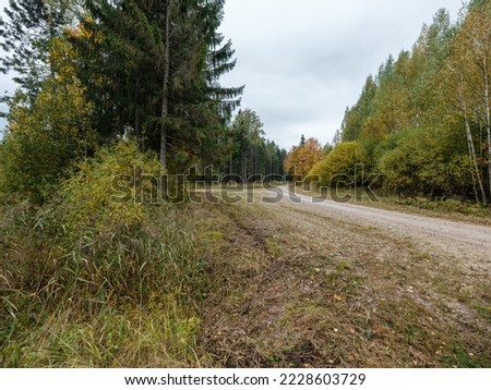 country gravel road in perspective summer landscape with pathway