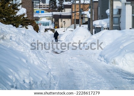 Snowy urban area. Sapporo, Hokkaido, Japan