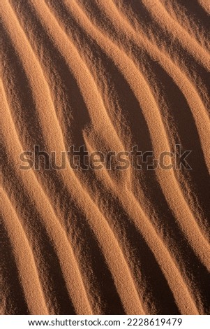 Lines in the sand of a dune in the desert. Close-up minimalistic photo of light and shadows on beautifully symmetrical waves of sand.  Royalty-Free Stock Photo #2228619479