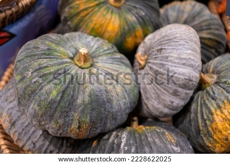 Bunch of pumpkin, Lots of orange pumpkin placed on a black shelves in supermarket. in the food zone from agricultural produce in the department store
