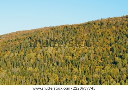 Dense forest covered mountain Matapedia Quebec Canada