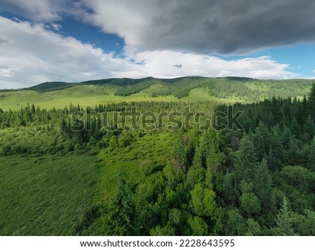 View of taiga forest with hills and mountains