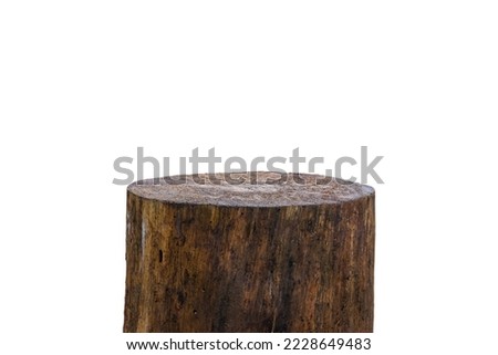 Old wooden podium for display product isolated on white background with clipping path. Brown log standing for cosmetic product presentation.