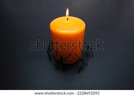 A View of burning orange candle with spider around for Halloween party with copy space.